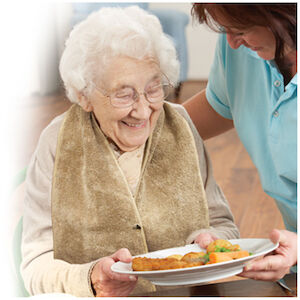 CLOTHING PROTECT BURGUNDY SNAP 28 X 30